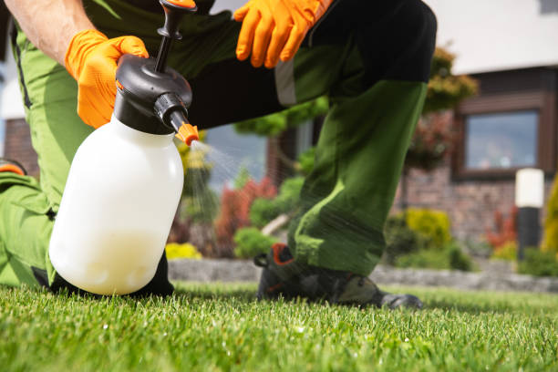 Best Wildlife Control Services  in Nashwauk, MN