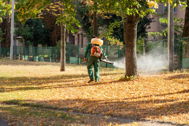 Best Pest Removal Services  in Nashwauk, MN