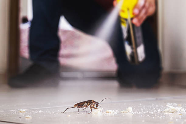Best Exterminator Services  in Nashwauk, MN