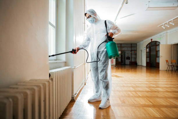 Best Ant Control Services  in Nashwauk, MN